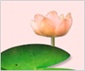 ���ݻ���Ǯ��